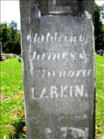 Larkin Stone.jpg